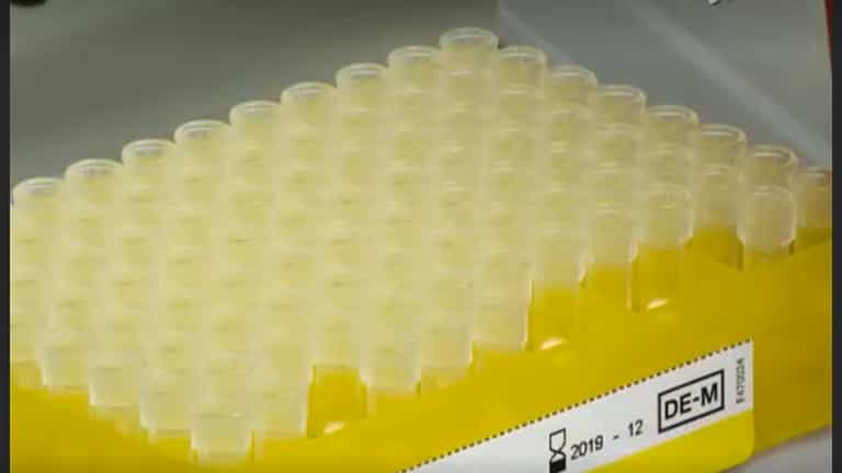 Automated Contraction Analysis of Human Engineered Heart Tissue for Cardiac Drug Safety Screening