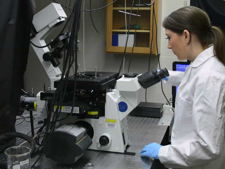 Utilizing pHluorin-tagged Receptors to Monitor Subcellular Localization and Trafficking