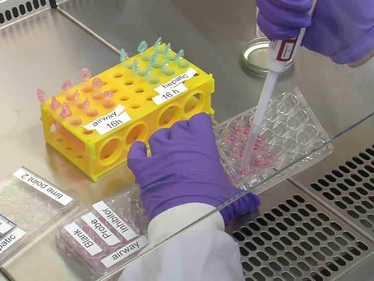 Mass Spectrometry and Luminogenic-based Approaches to Characterize Phase I Metabolic Competency of In Vitro Cell Cultures