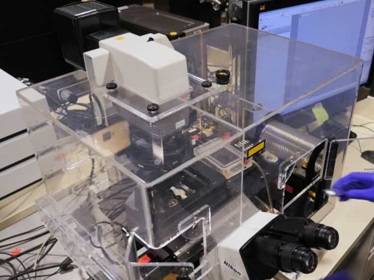 Single Molecule Analysis of Laser Localized Psoralen Adducts