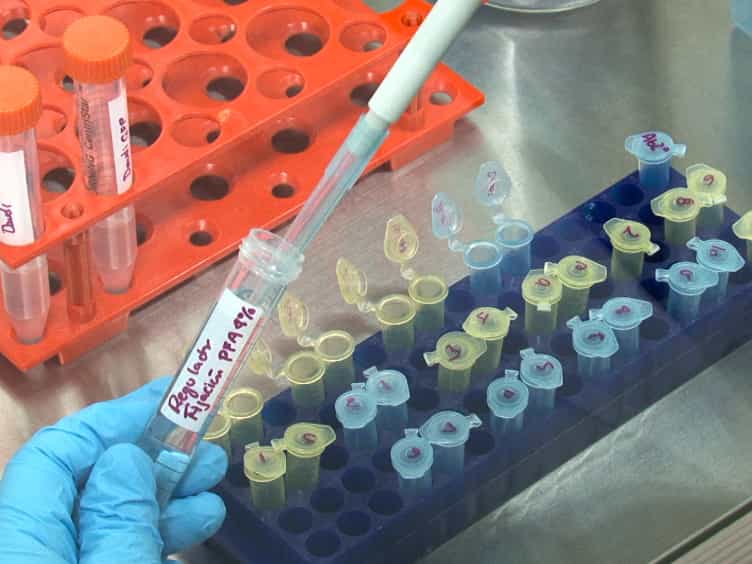 In Vitro Methods for Comparing Target Binding and CDC Induction Between Therapeutic Antibodies: Applications in Biosimilarity Analysis