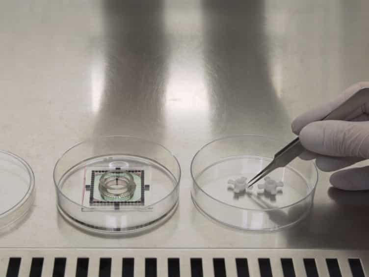 Electrophysiological Analysis of human Pluripotent Stem Cell-derived Cardiomyocytes hPSC-CMs Using Multi-electrode Arrays MEAs