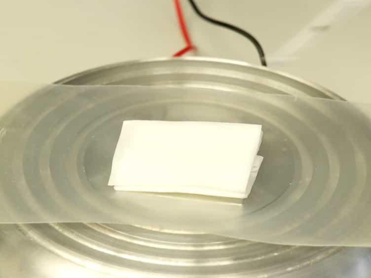 Surgical Ablation Assay for Studying Eye Regeneration in Planarians