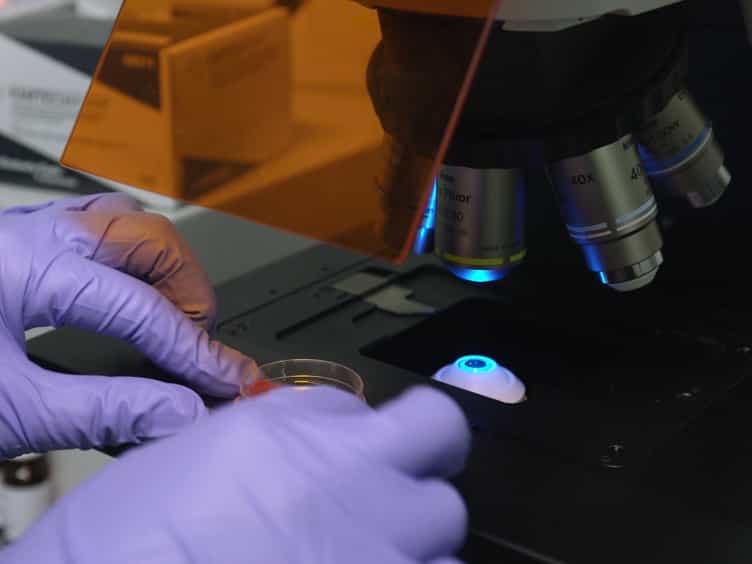 Precise Cellular Ablation Approach for Modeling Acute Kidney Injury in Developing Zebrafish