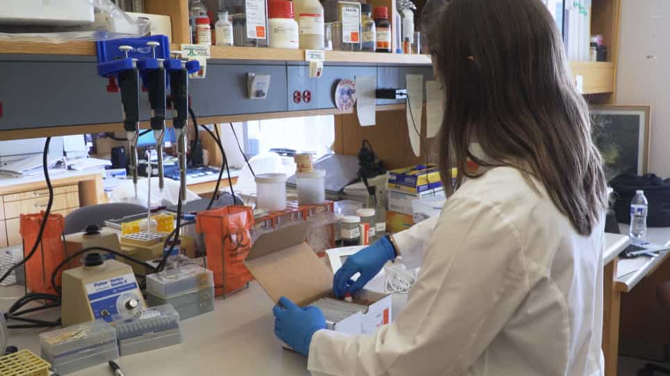 A Precision Medicine Tool for Measurement and Monitoring of Hemoglobin S in Sickle Cell Disease Patients Receiving Transfusion Therapy