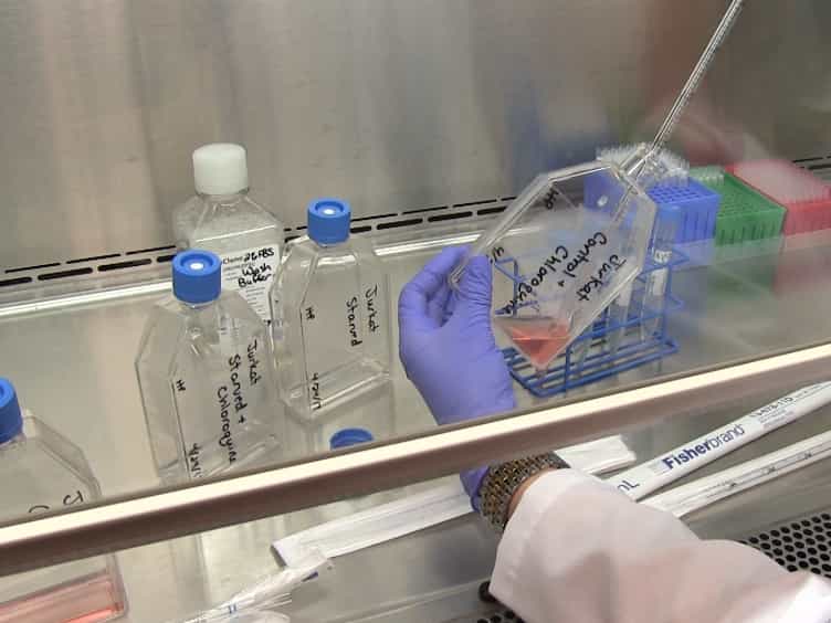Assessing Autophagic Flux by Measuring LC3, p62, and LAMP1 Co-localization Using Multispectral Imaging Flow Cytometry