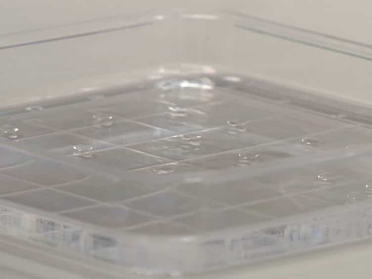 Cardiac Muscle-cell Based Actuator and Self-stabilizing Biorobot - PART 1