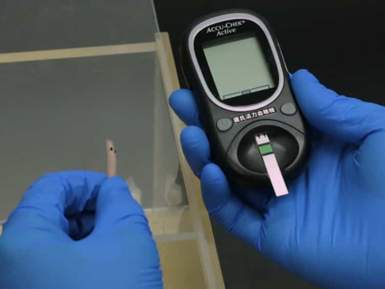 An Ultrasonic Tool for Nerve Conduction Block in Diabetic Rat Models