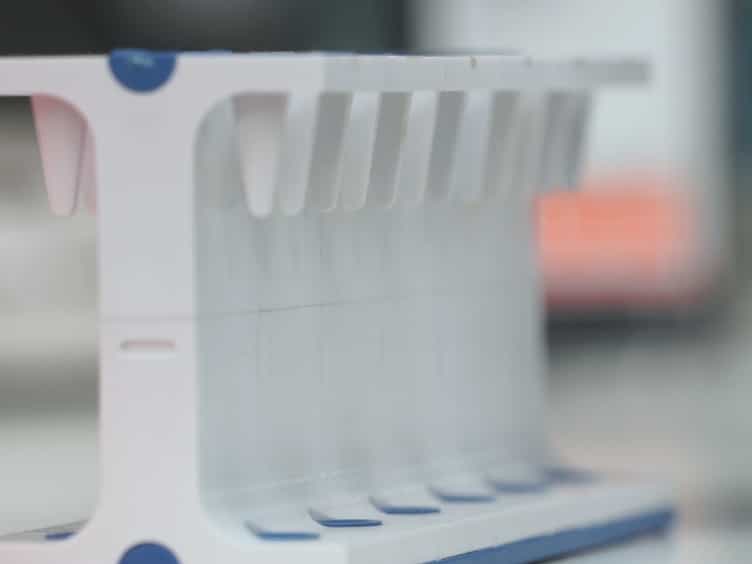 Analysis of the c-KIT Ligand Promoter Using Chromatin Immunoprecipitation