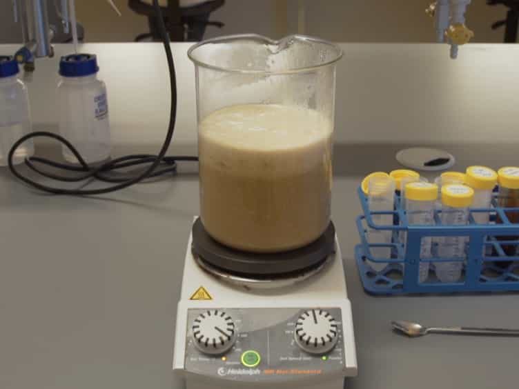 A Method to Test the Effect of Environmental Cues on Mating Behavior in Drosophila melanogaster