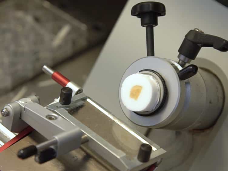The Optical Fractionator Technique to Estimate Cell Numbers in a Rat Model of Electroconvulsive Therapy
