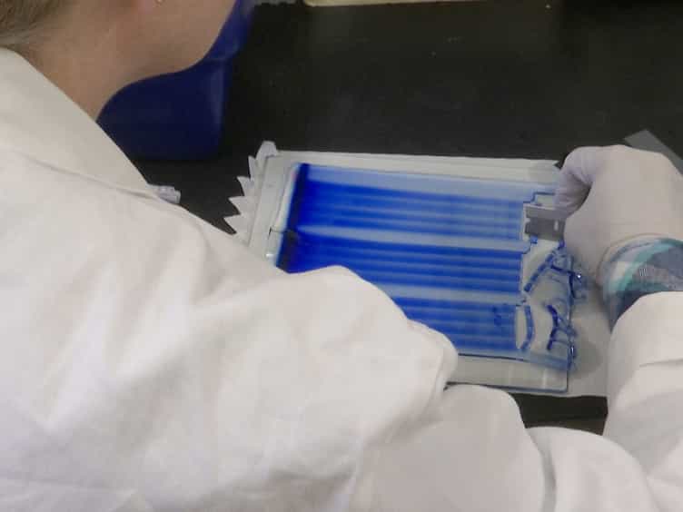 Analyzing Supercomplexes of the Mitochondrial Electron Transport Chain with Native Electrophoresis, In-gel Assays, and Electroelution