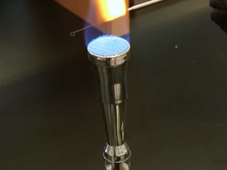 Laboratory Techniques Used to Maintain and Differentiate Biotypes of Vibrio cholerae Clinical and Environmental Isolates