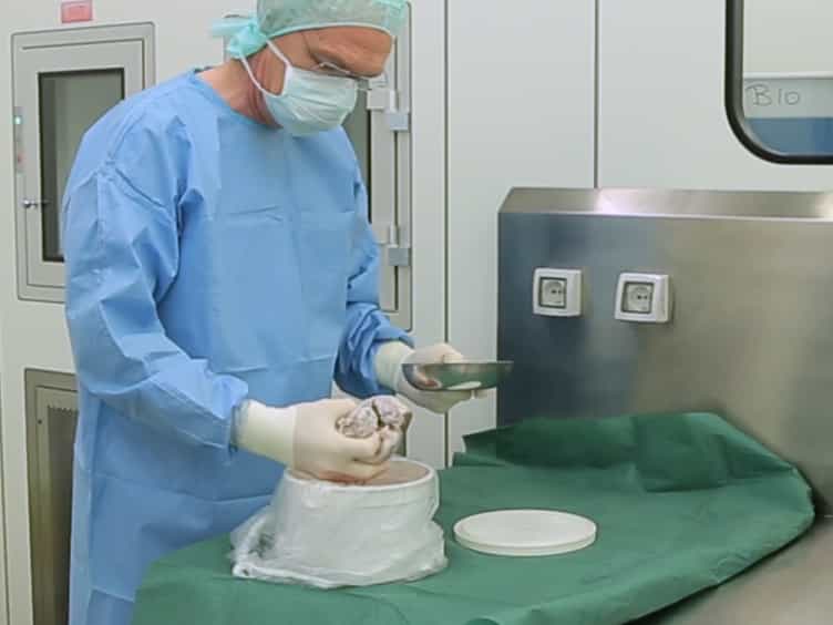 Optimized Protocol for the Extraction of Proteins from the Human Mitral Valve