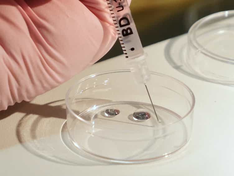 Generation of Genetically Modified Mice through the Microinjection of Oocytes