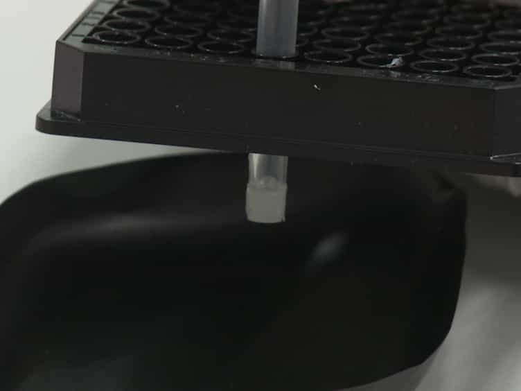 Easy Manipulation of Architectures in Protein-based Hydrogels for Cell Culture Applications