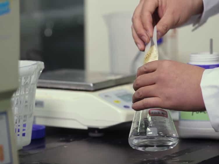 Production of Chemicals by Klebsiella pneumoniae Using Bamboo Hydrolysate as Feedstock