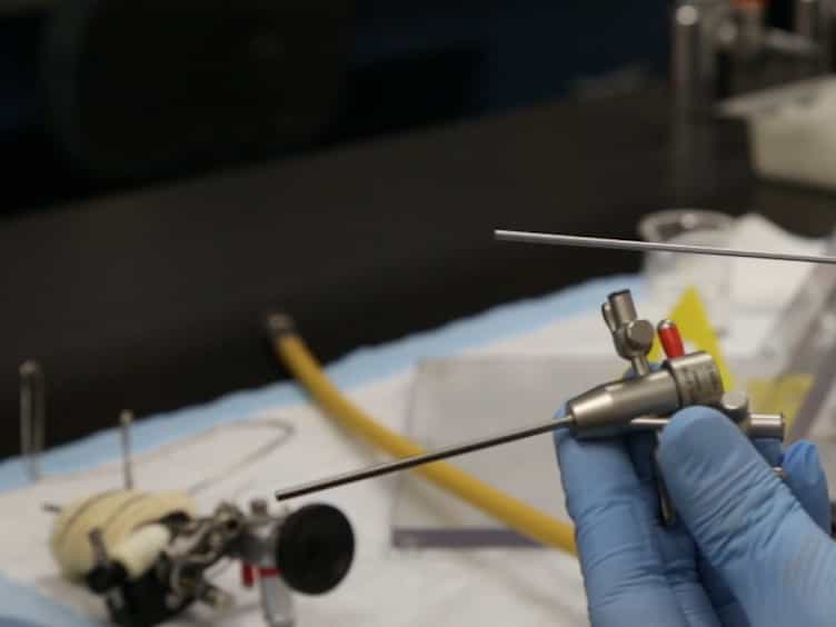 Subcutaneous Neurotrophin 4 Infusion Using Osmotic Pumps or Direct Muscular Injection Enhances Aging Rat Laryngeal Muscles