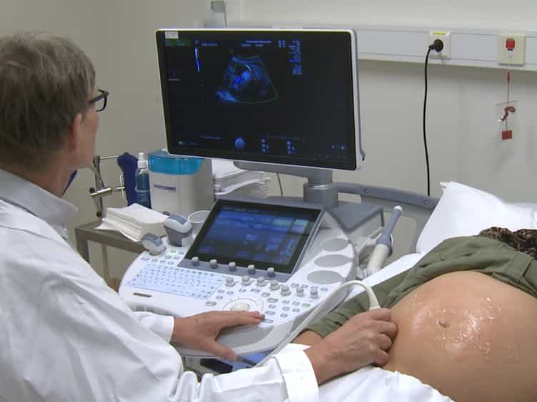 The 4-vessel Sampling Approach to Integrative Studies of Human Placental Physiology In Vivo