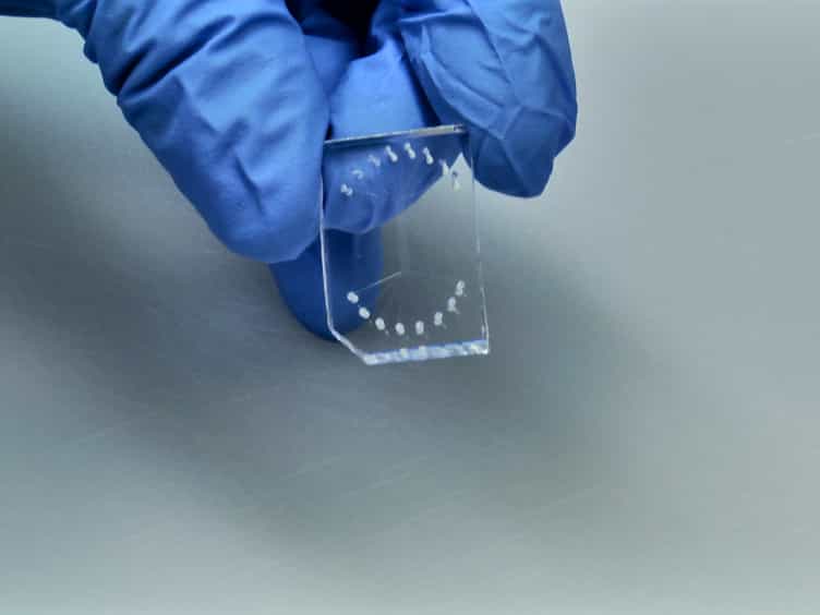 PIP-on-a-chip: A Label-free Study of Protein-phosphoinositide Interactions