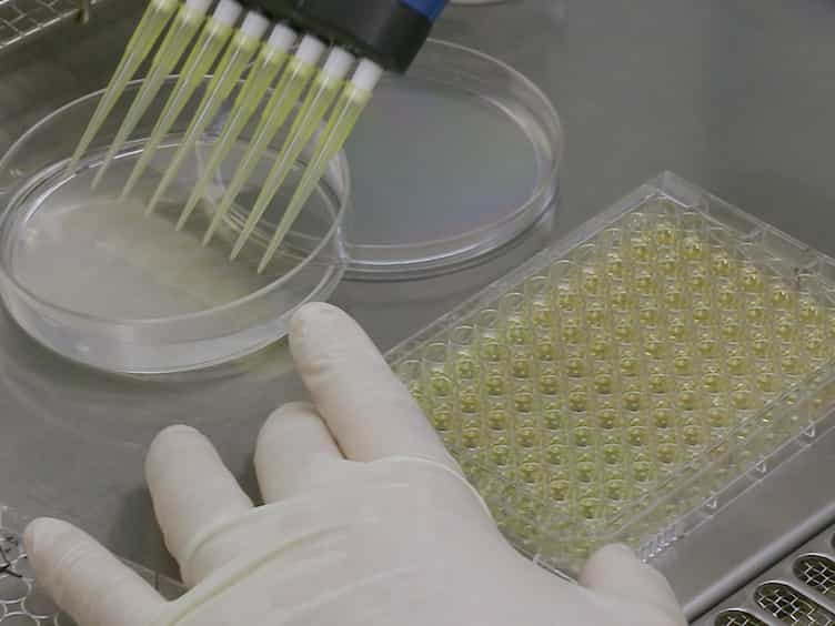 Establishing Dual Resistance to EGFR-TKI and MET-TKI in Lung Adenocarcinoma Cells In Vitro with a 2-step Dose-escalation Procedure