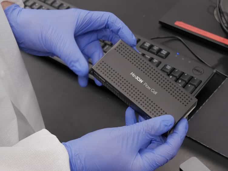 Nanopore DNA Sequencing for Metagenomic Soil Analysis