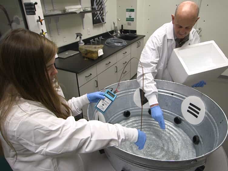 Assessing Spatial Memory Impairment in a Mouse Model of Traumatic Brain Injury Using a Radial Water Tread Maze