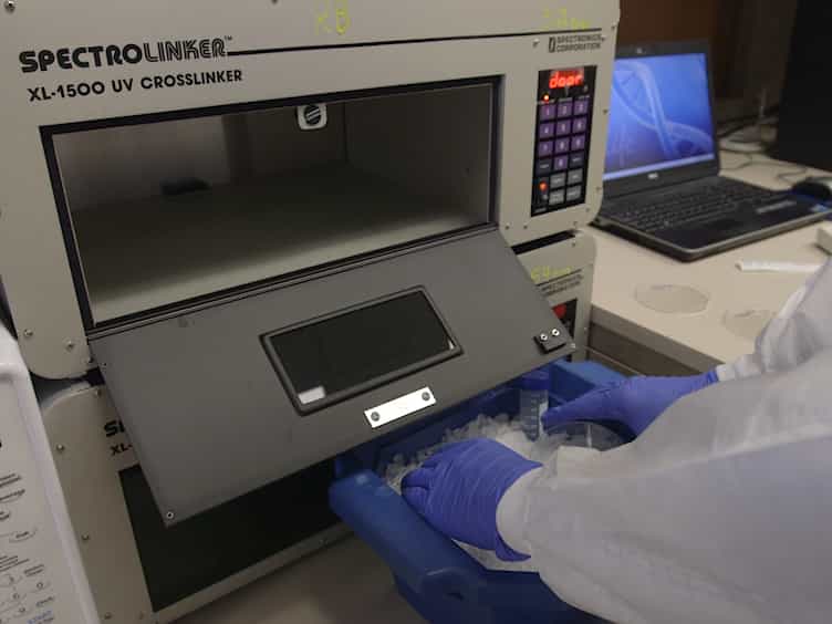 Sample Preparation for Mass Spectrometry-based Identification of RNA-binding Regions