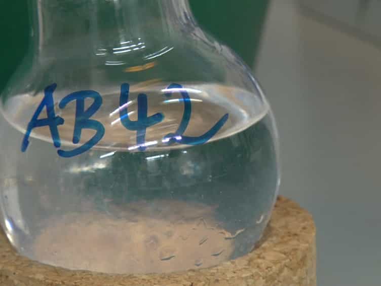 Modeling Amyloid-β42 Toxicity and Neurodegeneration in Adult Zebrafish Brain