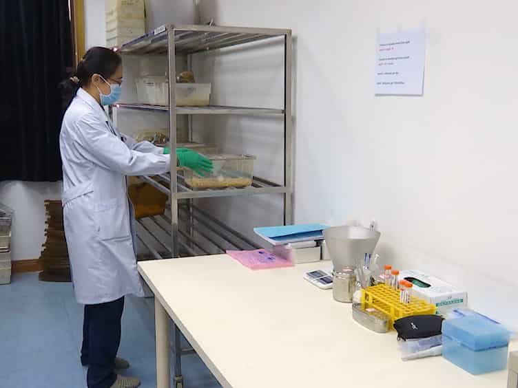 Laser Doppler: A Tool for Measuring Pancreatic Islet Microvascular Vasomotion In Vivo