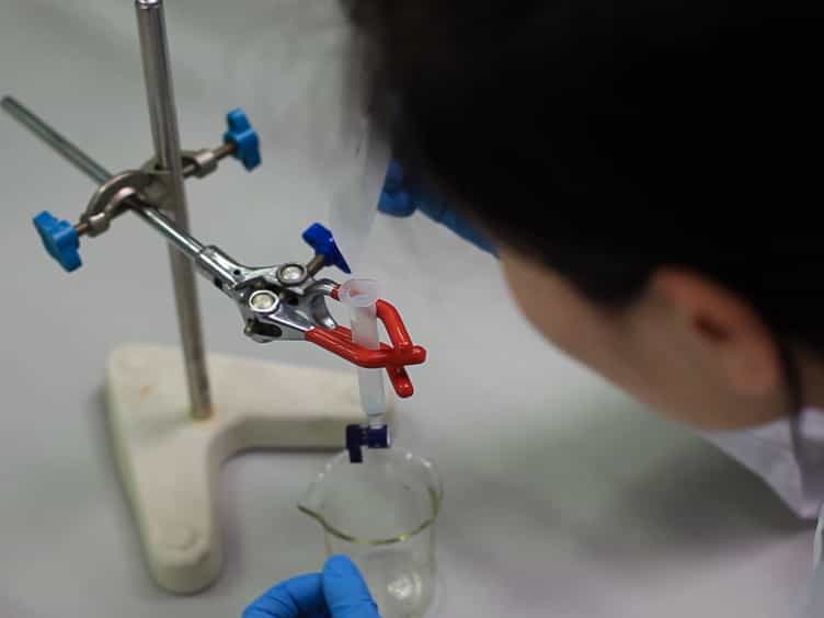 Determination of Sialic Acids in Liver and Milk Samples of Wild-type and CMAH Knock-out Mice.