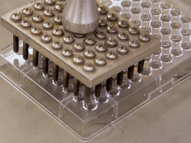 A Modified Yeast-one Hybrid System for Heteromeric Protein Complex-DNA Interaction Studies