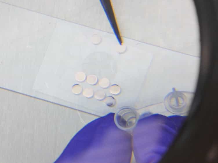 Utilization of Capsules for Negative Staining of Viral Samples within Biocontainment