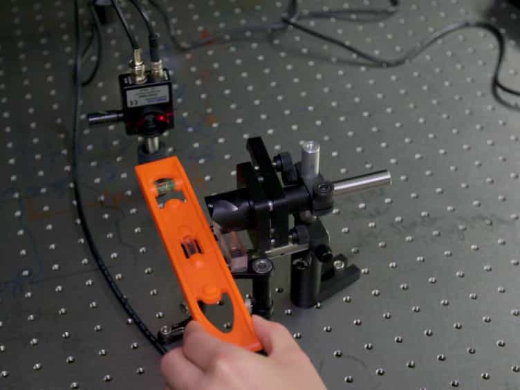 Fourier-Based Diffraction Analysis of Live Caenorhabditis elegans