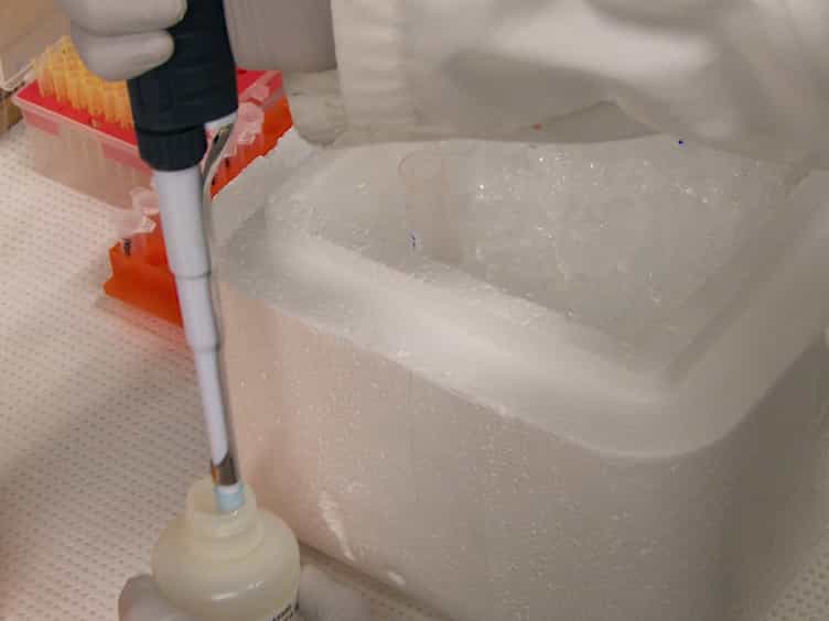 Sample Extraction and Simultaneous Chromatographic Quantitation of Doxorubicin and Mitomycin C Following Drug Combination Delivery in Nanoparticles to Tumor-bearing Mice