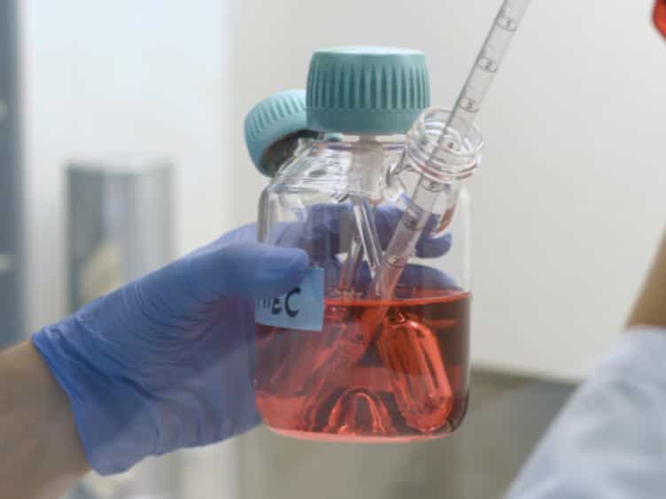 Assessment of the Anticoagulant and Anti-inflammatory Properties of Endothelial Cells Using 3D Cell Culture and Non-anticoagulated Whole Blood