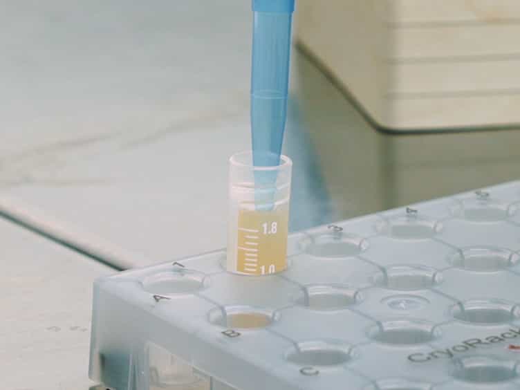 Generic Protocol for Optimization of Heterologous Protein Production Using Automated Microbioreactor Technology