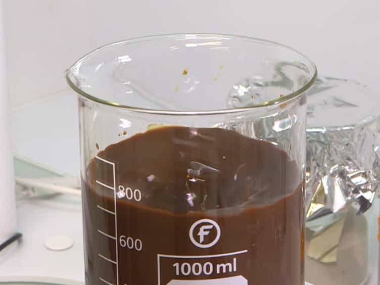 Experimental Column Setup for Studying Anaerobic Biogeochemical Interactions Between Iron OxyHydroxides, Trace Elements, and Bacteria