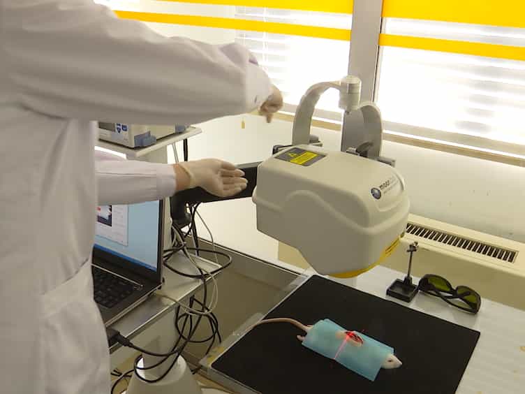 Using Laser Doppler Imaging and Monitoring to Analyze Spinal Cord Microcirculation in Rat