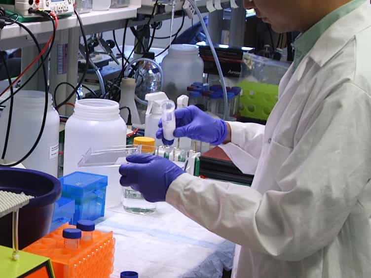 Personalized Peptide Arrays for Detection of HLA Alloantibodies in Organ Transplantation