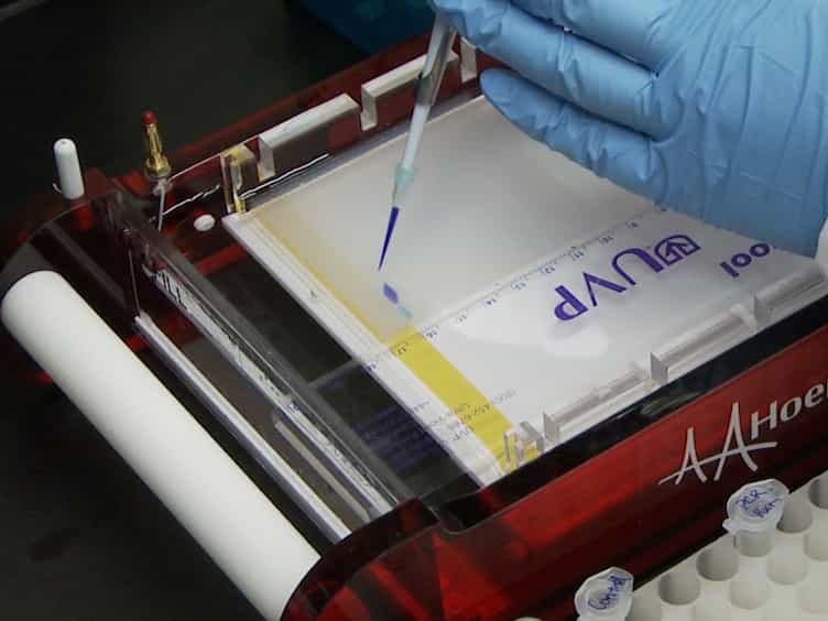 Targeting Cysteine Thiols for in Vitro Site-specific Glycosylation of Recombinant Proteins