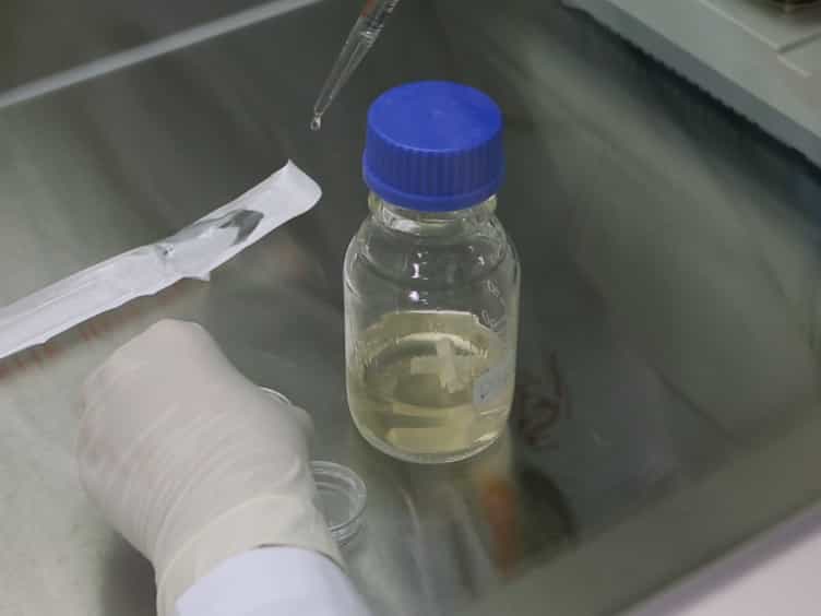 Measuring the Effect of Chemicals on the Growth and Reproduction of Caenorhabditis elegans