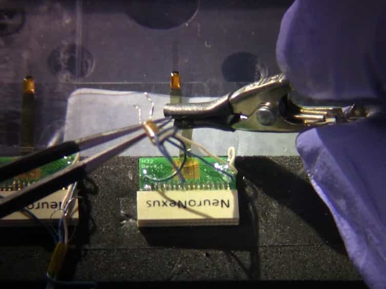 Implantation of Chronic Silicon Probes and Recording of Hippocampal Place Cells in an Enriched Treadmill Apparatus