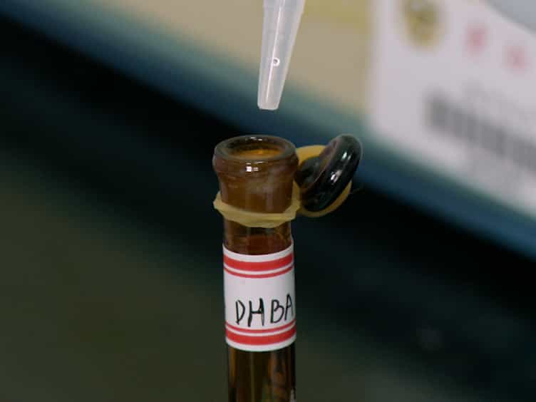 A Convenient Method for Extraction and Analysis with High-Pressure Liquid Chromatography of Catecholamine Neurotransmitters and Their Metabolites