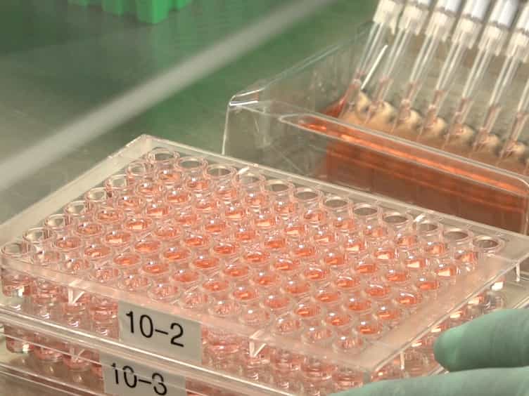 Measuring Influenza Neutralizing Antibody Responses to AH3N2 Viruses in Human Sera by Microneutralization Assays Using MDCK-SIAT1 Cells