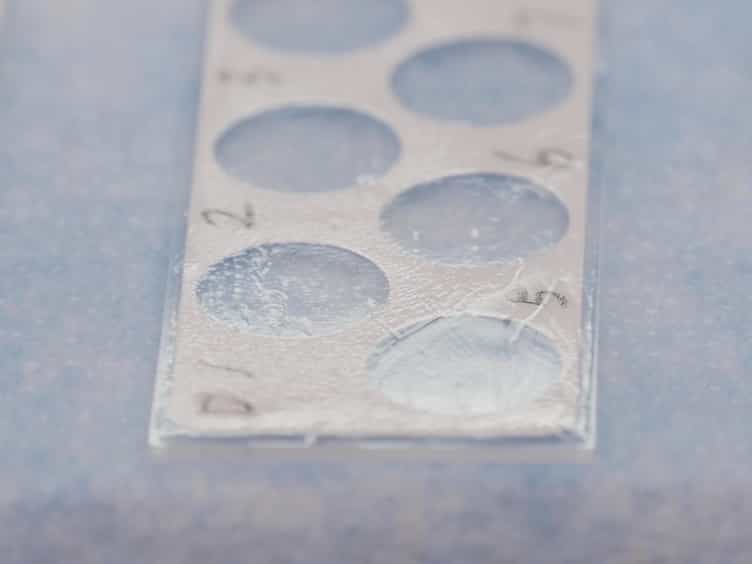 Evaluating In Vitro DNA Damage Using Comet Assay