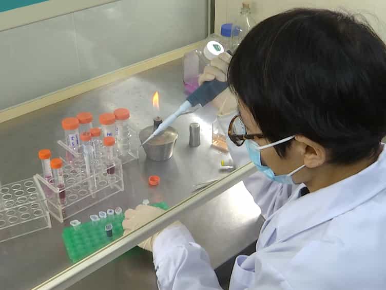 An Efficient and Simple Method to Establish NK and T Cell Lines from Patients with Chronic Active Epstein-Barr Virus Infection