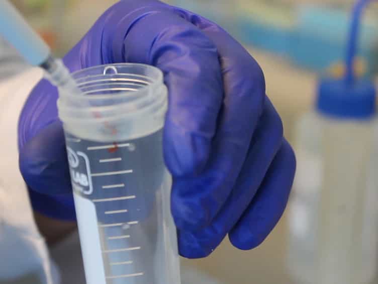 DNA Staining Method Based on Formazan Precipitation Induced by Blue Light Exposure