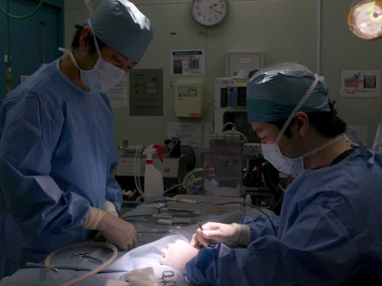 A Surgical Procedure for the Administration of Drugs to the Inner Ear in a Non-Human Primate Common Marmoset Callithrix jacchus