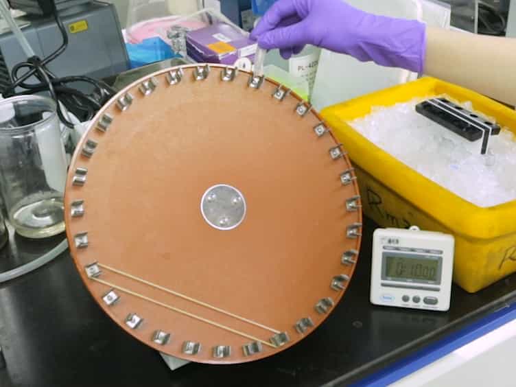 In Vitro SUMOylation Assay to Study SUMO E3 Ligase Activity